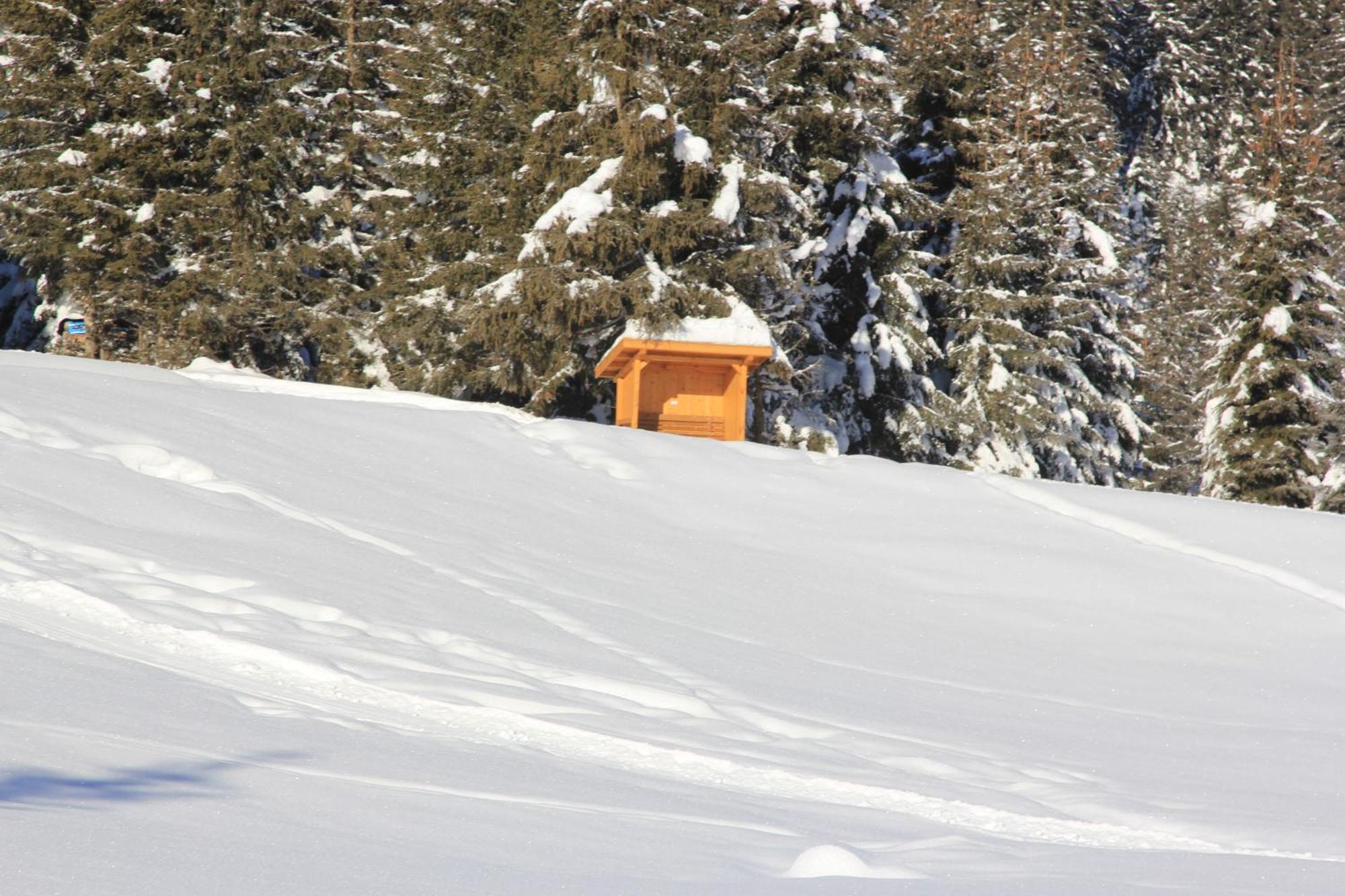Haus Astoria Apartment Sankt Leonhard im Pitztal Bagian luar foto