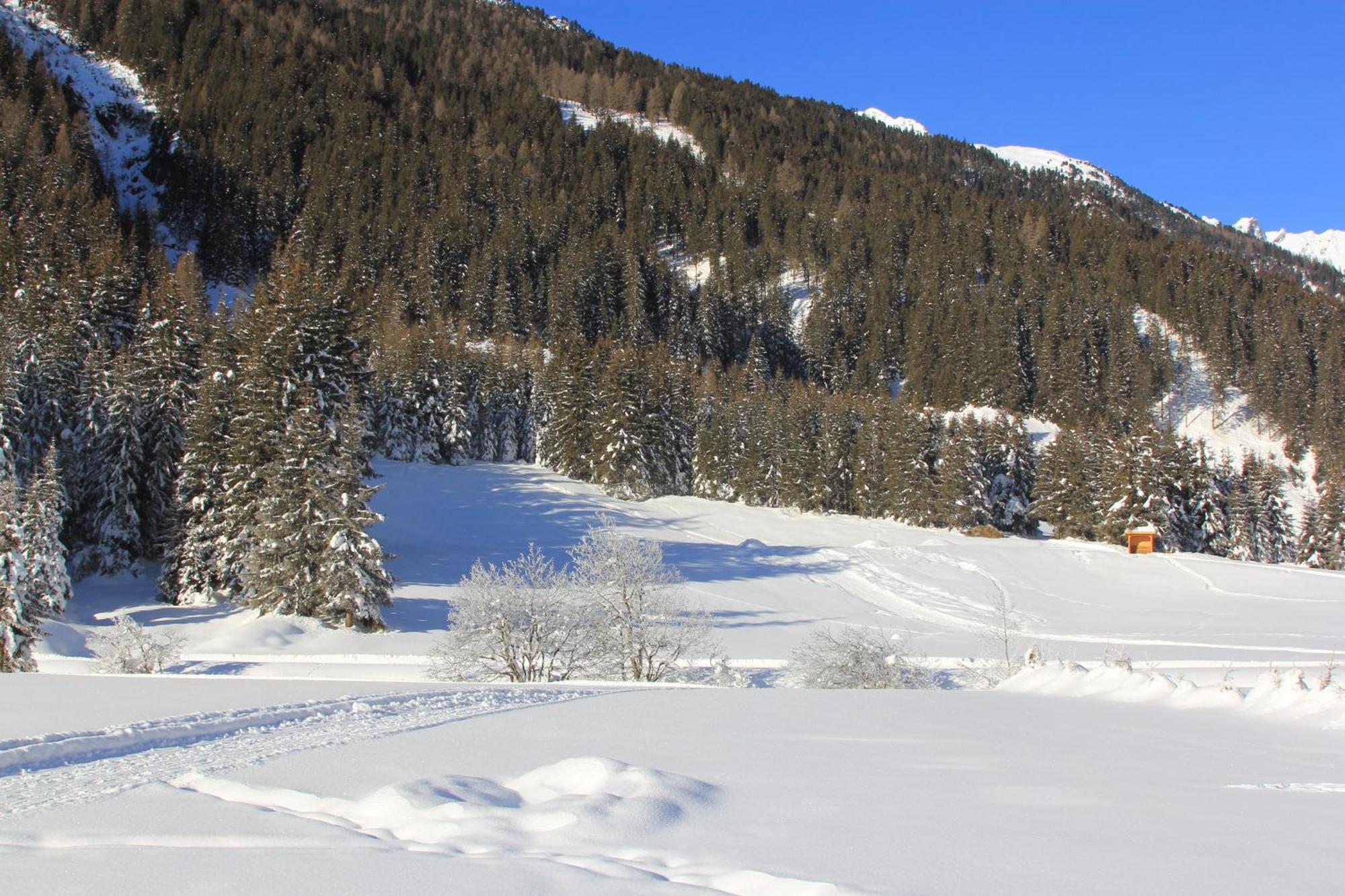 Haus Astoria Apartment Sankt Leonhard im Pitztal Bagian luar foto